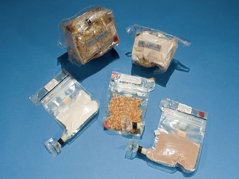 Cosa Mangiavano Gli Astronauti Che Sono Andati Sulla Luna Menu