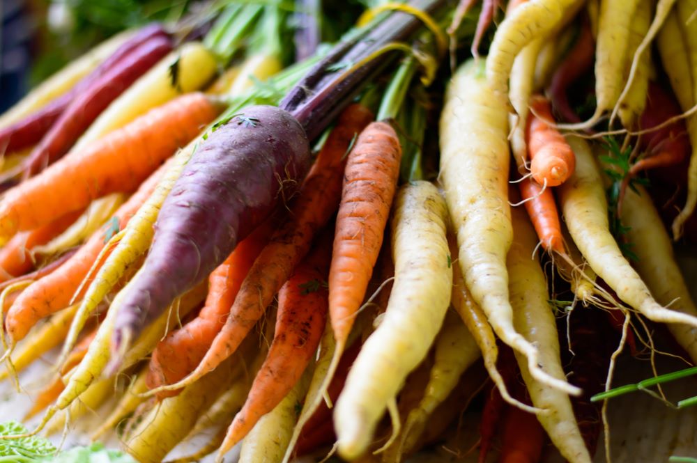 Il Vero Colore Della Carota Viola Gialle Arancio